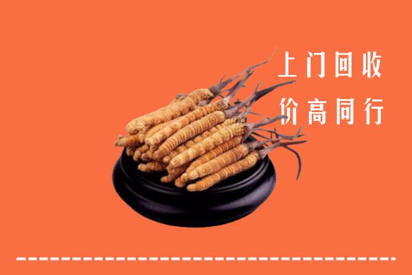 收购行情：新吴区冬虫夏草回收多少钱每克